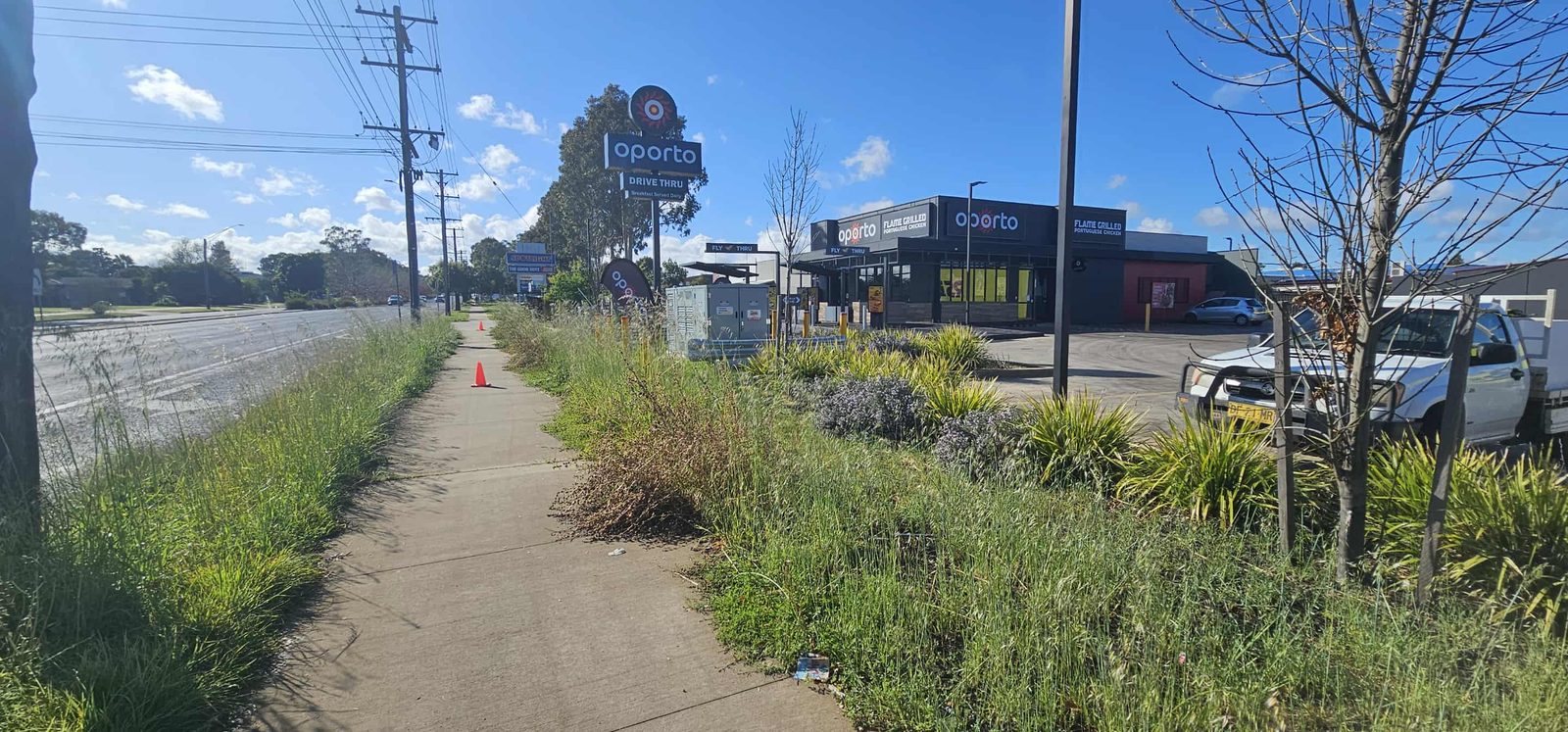 Before: Commercial roadside frontage mowing and overgrowth reduction