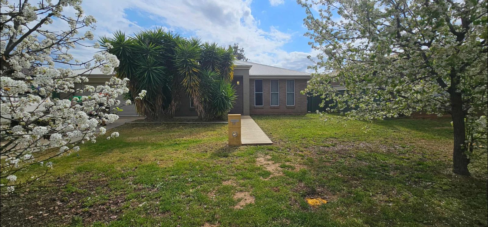 After: Vacant-property front yard reset following the end of a tenancy