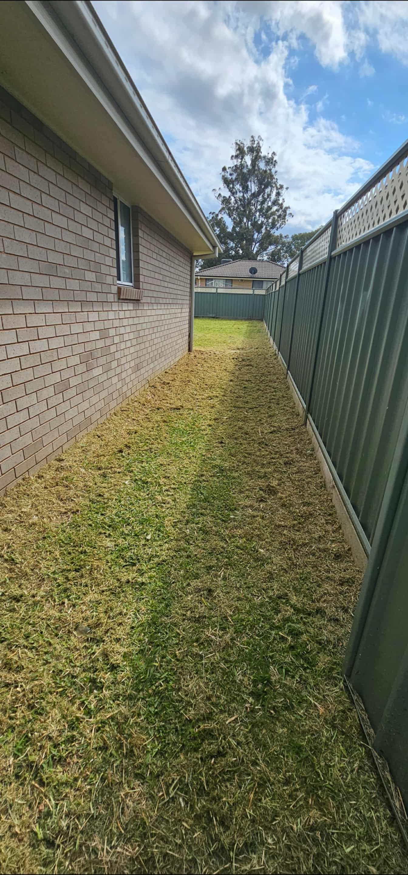 After: Vacant-property side access cut back and cleared